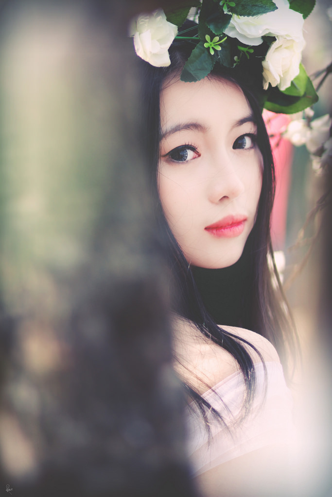 拜托小姐韩剧全集免费观看